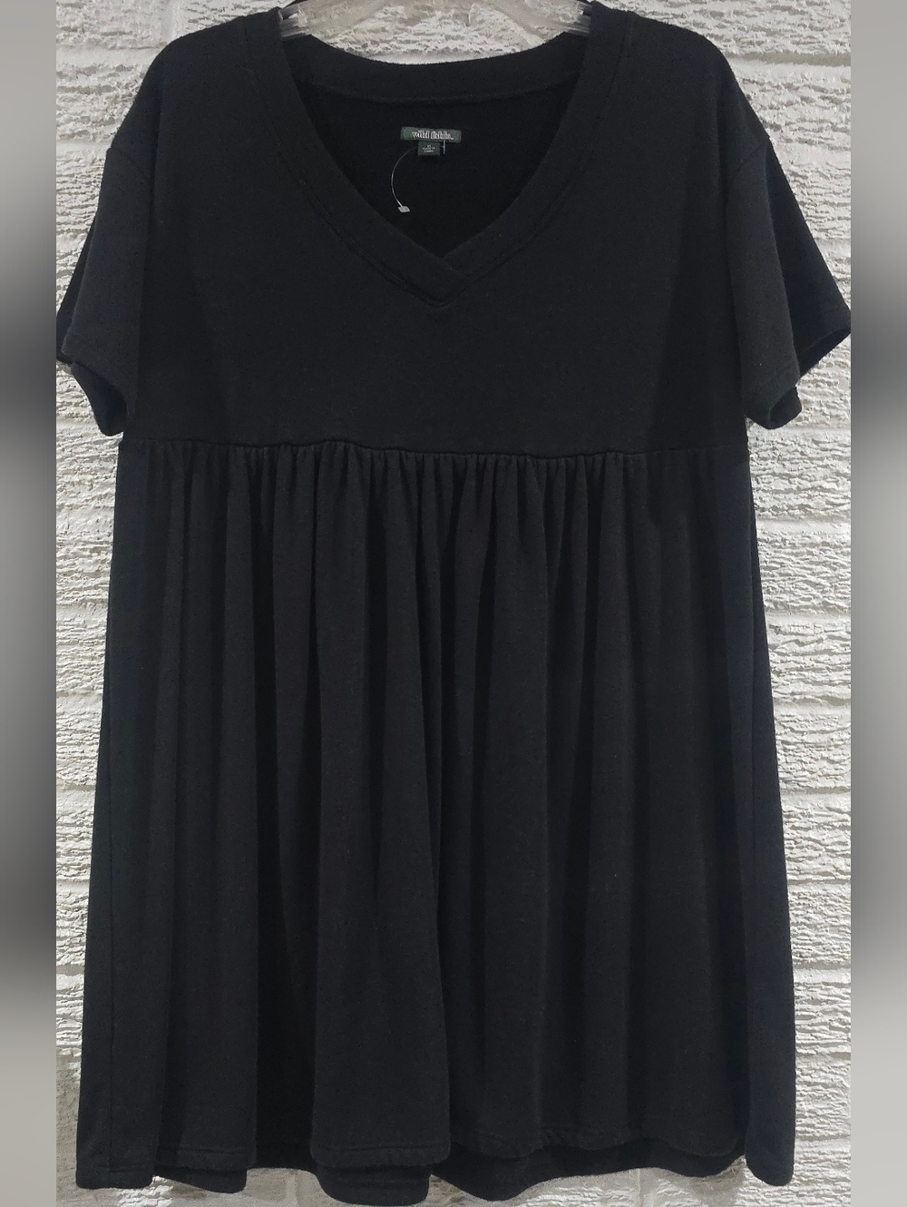 wild fable Black V-Neck Women Dress